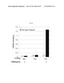 USE OF AN ANTI-ANG2 ANTIBODY diagram and image