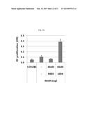 USE OF AN ANTI-ANG2 ANTIBODY diagram and image