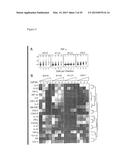 DIAGNOSTIC TOOLS FOR RESPONSE TO 6-THIOPURINE THERAPY diagram and image