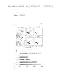 DIAGNOSTIC TOOLS FOR RESPONSE TO 6-THIOPURINE THERAPY diagram and image