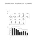 DIAGNOSTIC TOOLS FOR RESPONSE TO 6-THIOPURINE THERAPY diagram and image