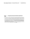 DNA SEQUENCE AND PREPARATION OF GRASS POLLEN ALLERGEN PHL P4 BY     RECOMBINANT METHODS diagram and image