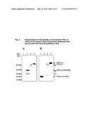 DNA SEQUENCE AND PREPARATION OF GRASS POLLEN ALLERGEN PHL P4 BY     RECOMBINANT METHODS diagram and image