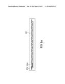 PAGE-WIDTH PRINTING PLATFORM OF RAPID PROTOTYPING APPARATUS diagram and image