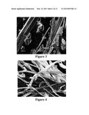 Hemp Fiber Reinforced Composite with Recycled High Density Polyethylene     and Production Thereof diagram and image