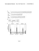 MODULAR DNA-BINDING DOMAINS AND METHODS OF USE diagram and image