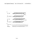 MODULAR DNA-BINDING DOMAINS AND METHODS OF USE diagram and image