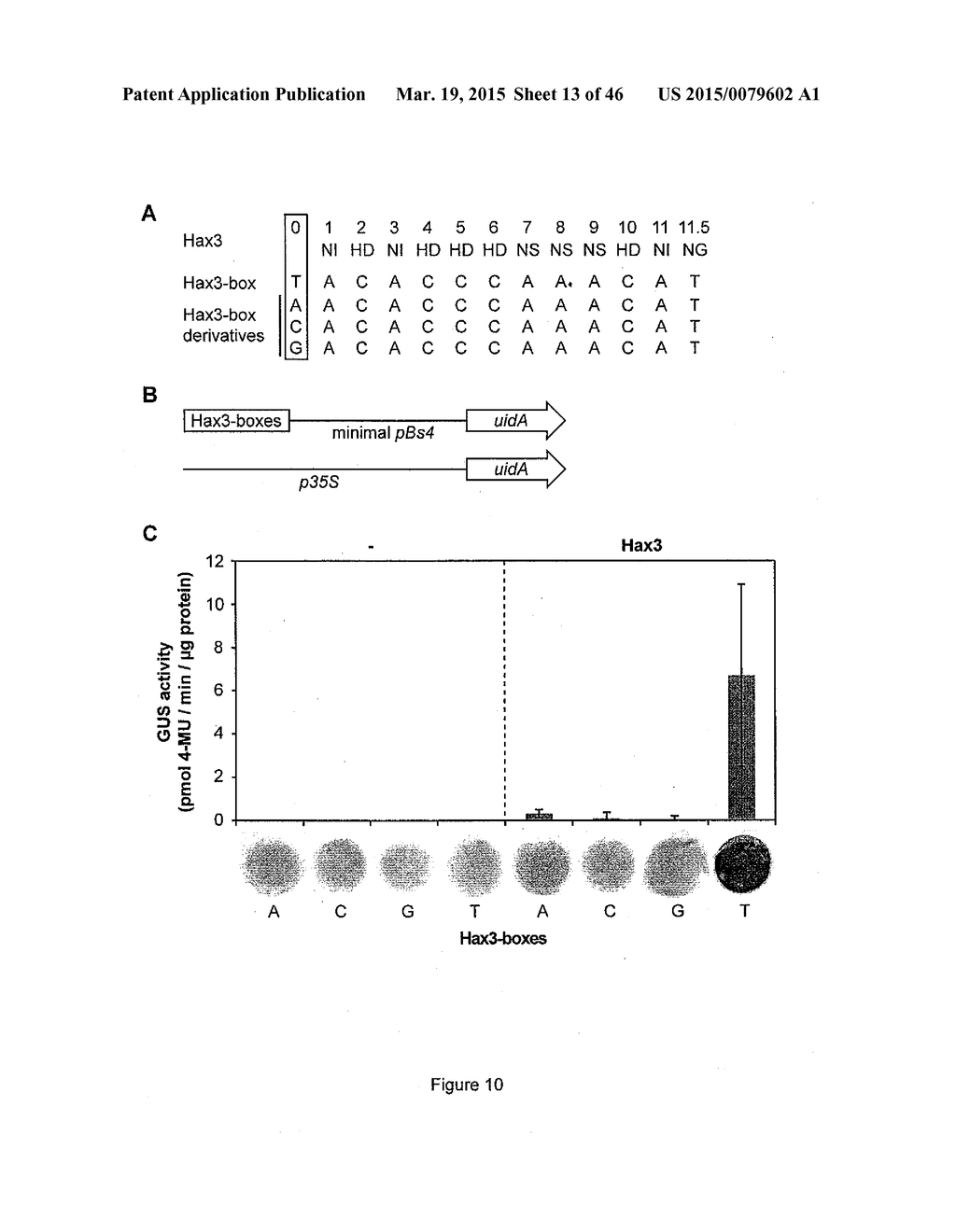 MODULAR DNA-BINDING DOMAINS AND METHODS OF USE - diagram, schematic, and image 14