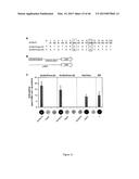 MODULAR DNA-BINDING DOMAINS AND METHODS OF USE diagram and image