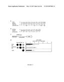 MODULAR DNA-BINDING DOMAINS AND METHODS OF USE diagram and image