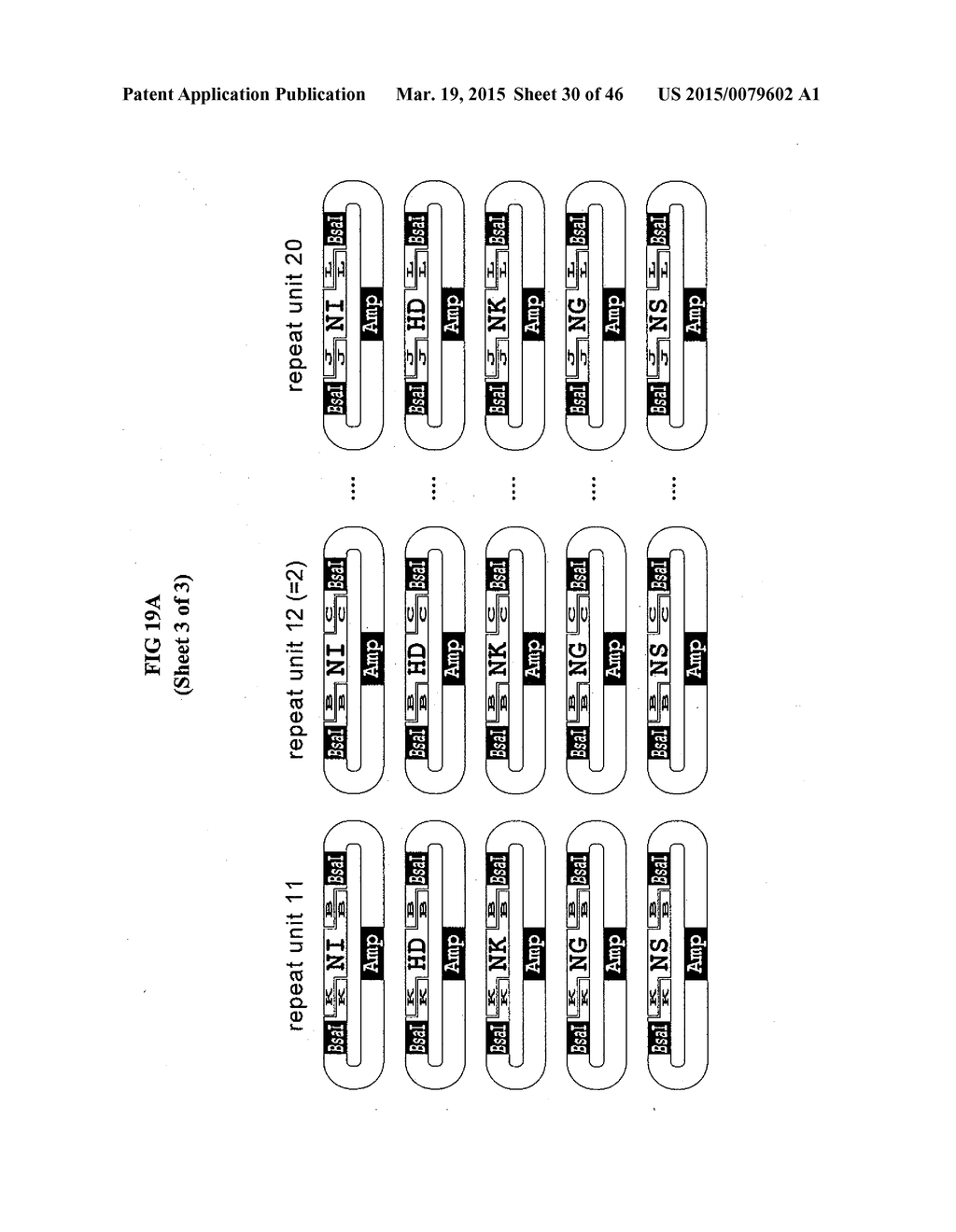 MODULAR DNA-BINDING DOMAINS AND METHODS OF USE - diagram, schematic, and image 31