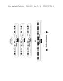 MODULAR DNA-BINDING DOMAINS AND METHODS OF USE diagram and image