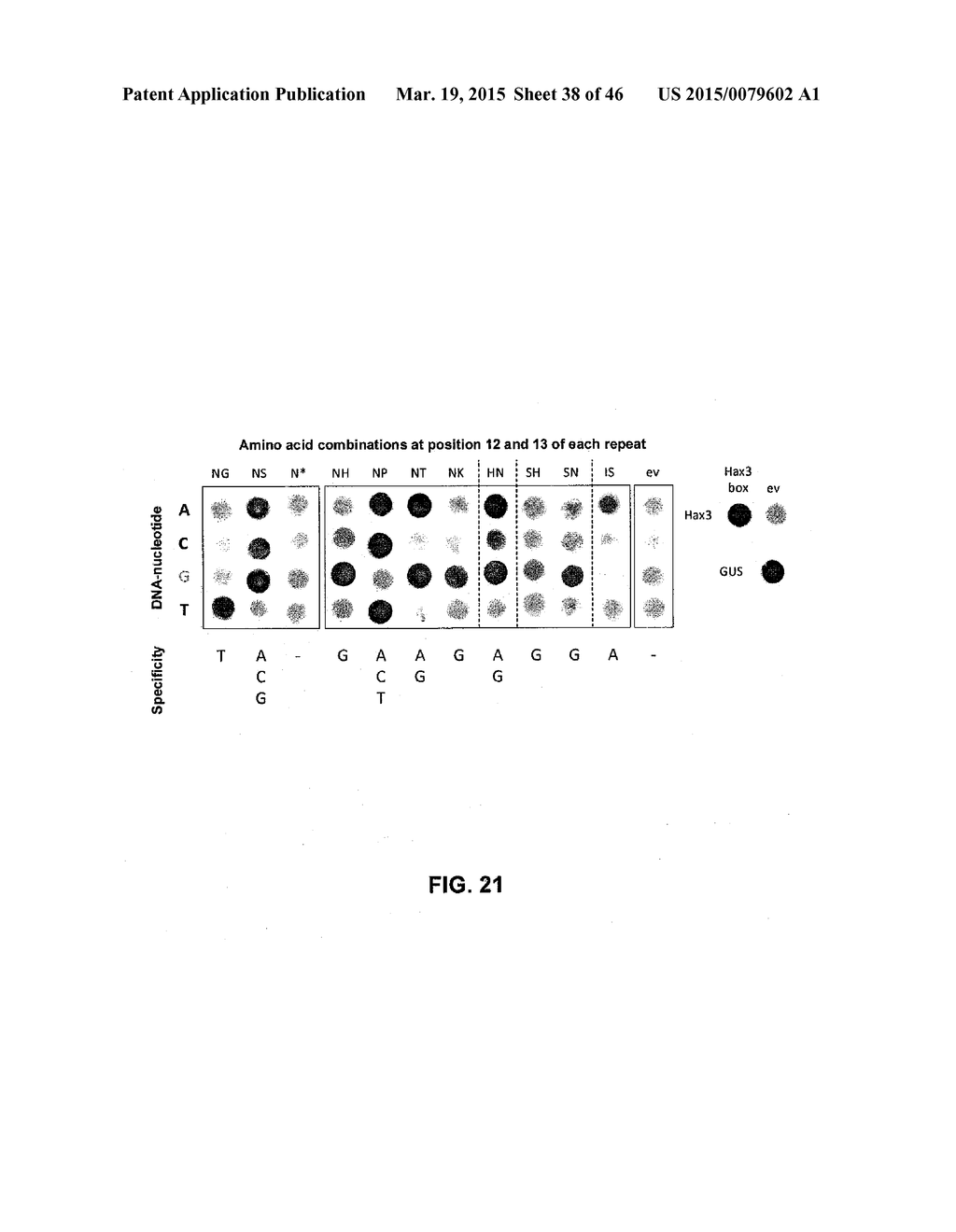 MODULAR DNA-BINDING DOMAINS AND METHODS OF USE - diagram, schematic, and image 39