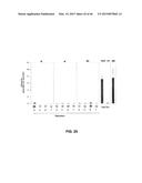 MODULAR DNA-BINDING DOMAINS AND METHODS OF USE diagram and image