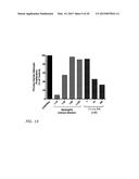 PORIFERA-BASED THERAPEUTIC COMPOSITIONS FOR TREATING AND PREVENTING SKIN     DISEASES diagram and image