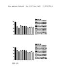 PORIFERA-BASED THERAPEUTIC COMPOSITIONS FOR TREATING AND PREVENTING SKIN     DISEASES diagram and image