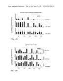 PORIFERA-BASED THERAPEUTIC COMPOSITIONS FOR TREATING AND PREVENTING SKIN     DISEASES diagram and image