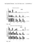 PORIFERA-BASED THERAPEUTIC COMPOSITIONS FOR TREATING AND PREVENTING SKIN     DISEASES diagram and image