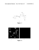 NAPHTHALENE-BASED TWO-PHOTON FLUORESCENT PROBES, PREPARATION METHOD AND     USE THEREOF diagram and image