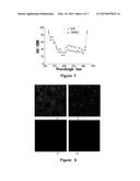 NAPHTHALENE-BASED TWO-PHOTON FLUORESCENT PROBES, PREPARATION METHOD AND     USE THEREOF diagram and image
