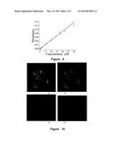 NAPHTHALENE-BASED TWO-PHOTON FLUORESCENT PROBES, PREPARATION METHOD AND     USE THEREOF diagram and image