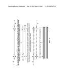 COMPOSITIONS AND METHODS FOR PROCESSING AND AMPLIFICATION OF DNA,     INCLUDING USING MULTIPLE ENZYMES IN A SINGLE REACTION diagram and image