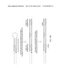 COMPOSITIONS AND METHODS FOR PROCESSING AND AMPLIFICATION OF DNA,     INCLUDING USING MULTIPLE ENZYMES IN A SINGLE REACTION diagram and image