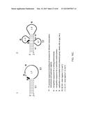 COMPOSITIONS AND METHODS FOR PROCESSING AND AMPLIFICATION OF DNA,     INCLUDING USING MULTIPLE ENZYMES IN A SINGLE REACTION diagram and image