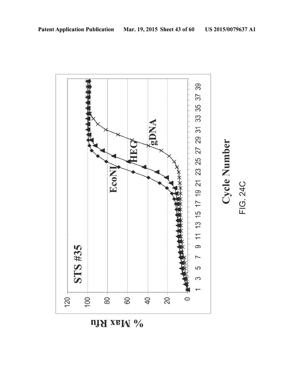 COMPOSITIONS AND METHODS FOR PROCESSING AND AMPLIFICATION OF DNA,     INCLUDING USING MULTIPLE ENZYMES IN A SINGLE REACTION - diagram, schematic, and image 44