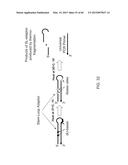 COMPOSITIONS AND METHODS FOR PROCESSING AND AMPLIFICATION OF DNA,     INCLUDING USING MULTIPLE ENZYMES IN A SINGLE REACTION diagram and image