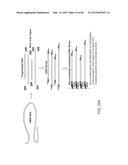 COMPOSITIONS AND METHODS FOR PROCESSING AND AMPLIFICATION OF DNA,     INCLUDING USING MULTIPLE ENZYMES IN A SINGLE REACTION diagram and image