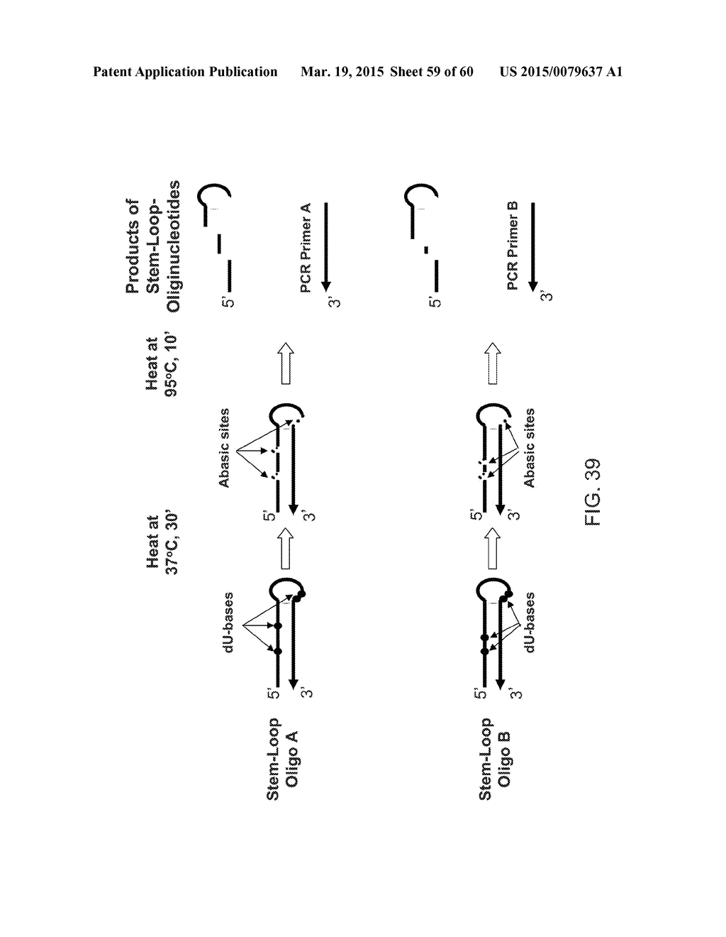 COMPOSITIONS AND METHODS FOR PROCESSING AND AMPLIFICATION OF DNA,     INCLUDING USING MULTIPLE ENZYMES IN A SINGLE REACTION - diagram, schematic, and image 60