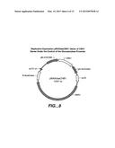 VARIANT HUMICOLA GRISEA CBH1.1 diagram and image