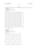 TRANSAMINASE REACTIONS diagram and image