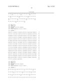 TRANSAMINASE REACTIONS diagram and image