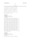 TRANSAMINASE REACTIONS diagram and image