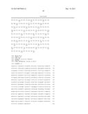 TRANSAMINASE REACTIONS diagram and image