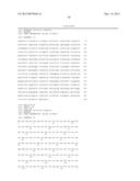 TRANSAMINASE REACTIONS diagram and image