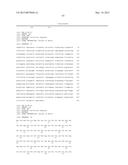 TRANSAMINASE REACTIONS diagram and image