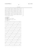 TRANSAMINASE REACTIONS diagram and image