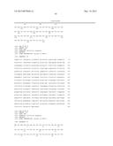 TRANSAMINASE REACTIONS diagram and image