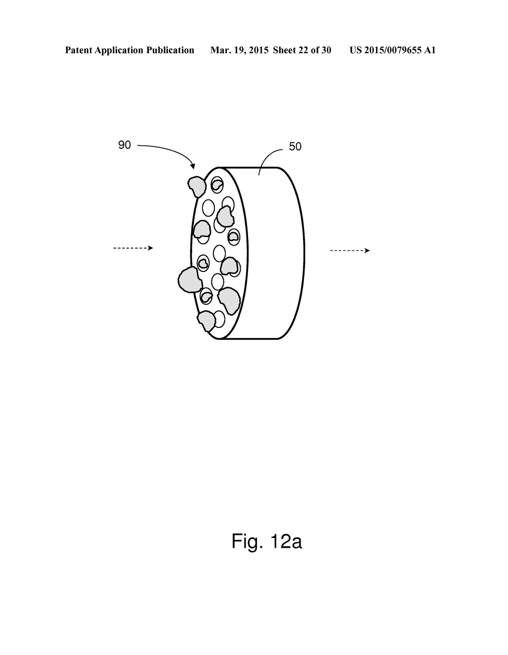 METHOD AND APPARATUS FOR PROCESSING SAMPLE MATERIAL - diagram, schematic, and image 23