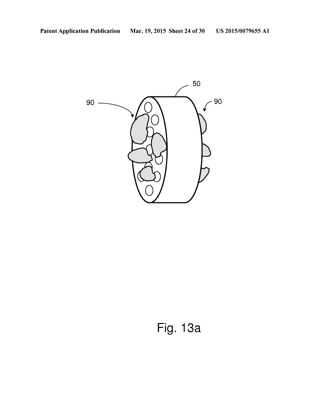 METHOD AND APPARATUS FOR PROCESSING SAMPLE MATERIAL - diagram, schematic, and image 25