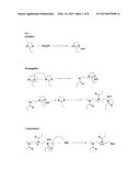 Activated Polyoxazolines and Conjugates and Compositions Comprising the     Same diagram and image