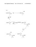 Activated Polyoxazolines and Conjugates and Compositions Comprising the     Same diagram and image