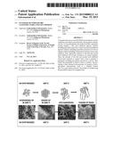 Synthesis of Pyrochlore Nanostructures and Uses Thereof diagram and image