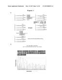 DNA SEQUENCING BY SYNTHESIS USING RAMAN AND INFRARED SPECTROSCOPY     DETECTION diagram and image