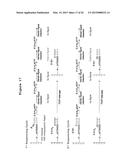 DNA SEQUENCING BY SYNTHESIS USING RAMAN AND INFRARED SPECTROSCOPY     DETECTION diagram and image