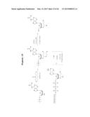 DNA SEQUENCING BY SYNTHESIS USING RAMAN AND INFRARED SPECTROSCOPY     DETECTION diagram and image