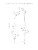 DNA SEQUENCING BY SYNTHESIS USING RAMAN AND INFRARED SPECTROSCOPY     DETECTION diagram and image